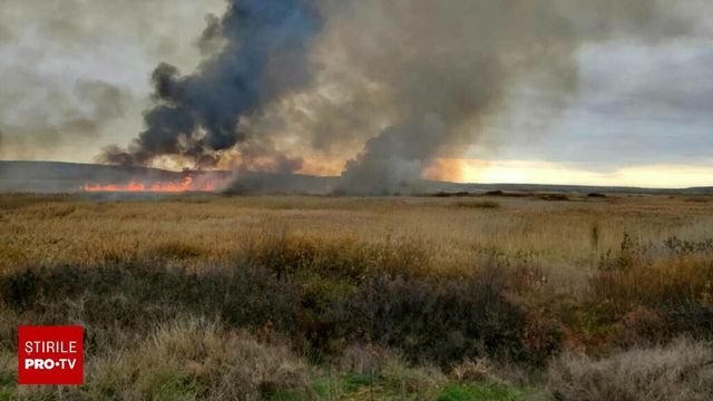 Incendiu cu multiple focare în Delta Neajlovului