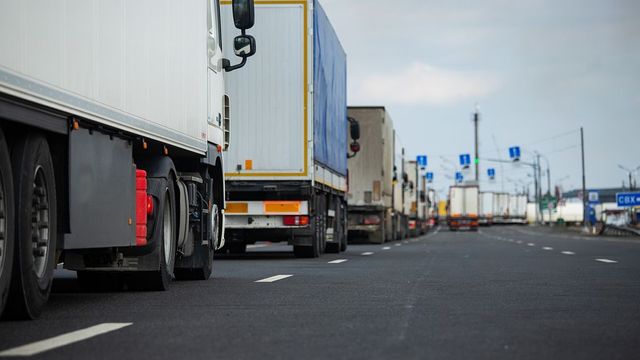 32 de ovine stau blocate de cinci zile între Vama Albița și Leușeni din cauza taxelor neplătite