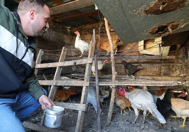Agricultura levanta el confinamiento de explotaciones por la gripe aviar