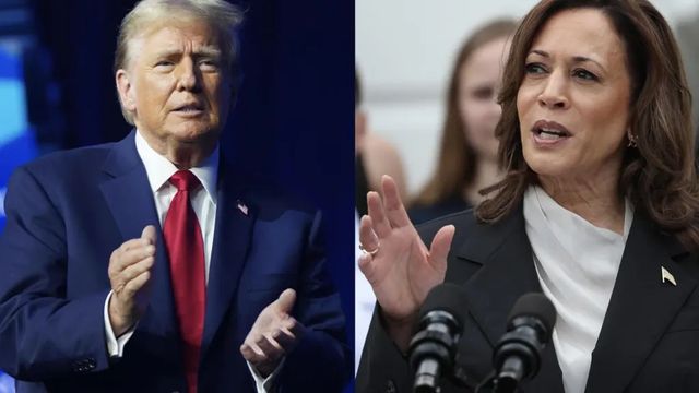 Debate entre Donald Trump y Kamala Harris provocará volatilidad en las criptomonedas