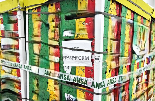 ANSA a nimicit un lot de ardei de import