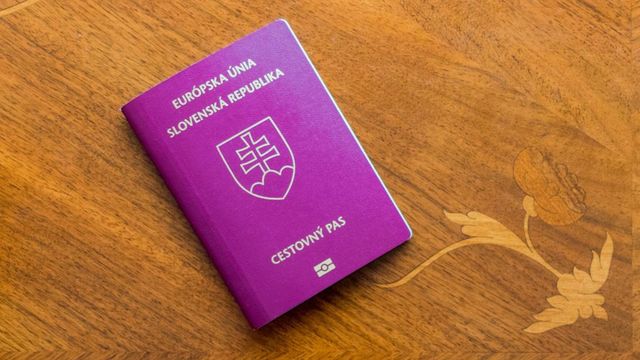 Aleksandar Vucsics Szerbiába hívta Magyar Pétert