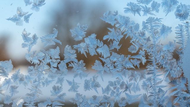 Катастрофа в Ловешко взе жертва