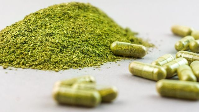 Vláda schválila lex kratom, který zpřísní pravidla prodeje, oznámil Vojtěch