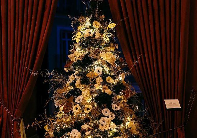 Río de Janeiro inaugura un árbol de Navidad flotante