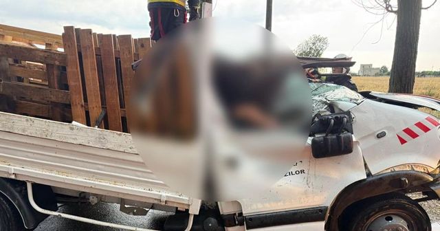 Un bărbat a murit în mașina lovită în mers de un copac doborât de furtună, în Ilfov