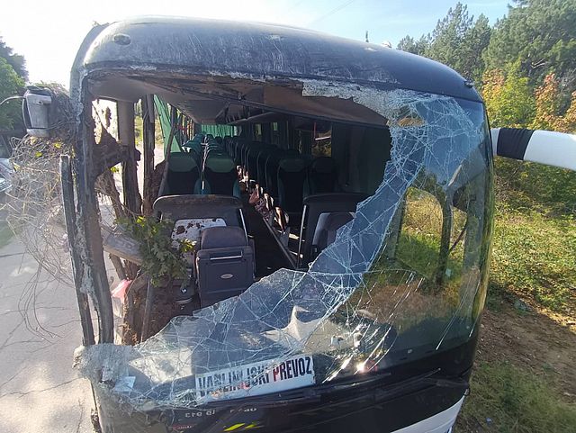 Наемателят на сръбския автобус: Вината е изцяло на шофьора