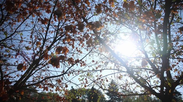 Днес ще преобладава слънчево време