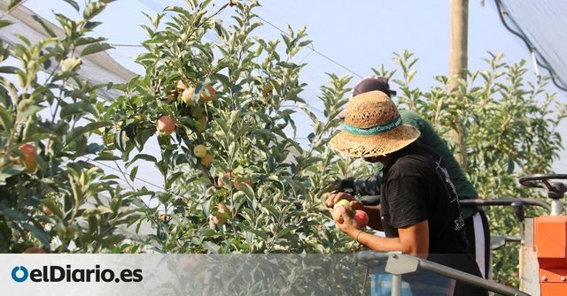 Un temporero muere en Lleida por un presunto golpe de calor mientras trabajaba a más de 40 grados