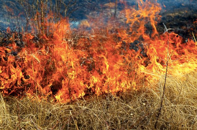 România primește aproape 34 de milioane de euro pentru daunele provocate de incendii și secetă în 2022