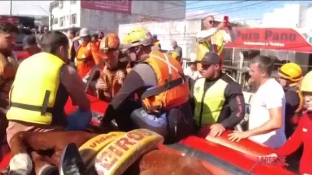 Salvato il cavallo bloccato dall'acqua su un tetto in Brasile