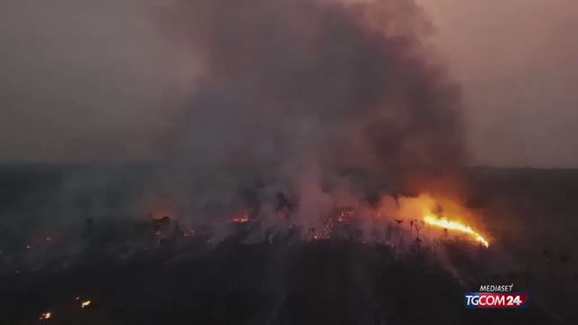 Copernicus, agosto 2026 il mese più caldo mai registrato
