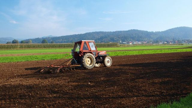 Japonia va oferi un grant fermierilor din Moldova