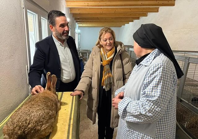 Mejorar el Conejo Gigante de España desde un convento de clausura de Toledo