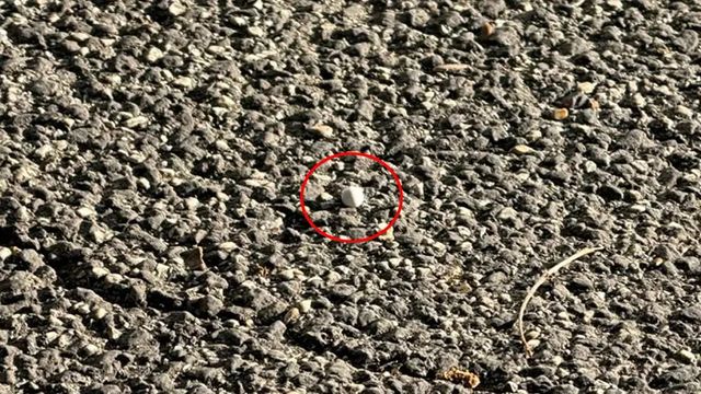 Spari al 25 aprile a Roma, fermato un 21enne della Comunità ebraica