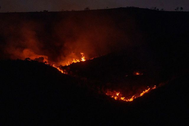 Incendii de vegetație în Italia