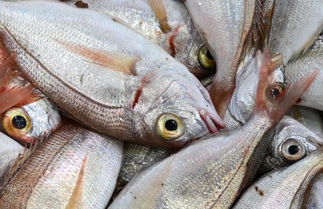 Un ton rosu vandut la pret record la licitatia de Anul Nou din Tokyo