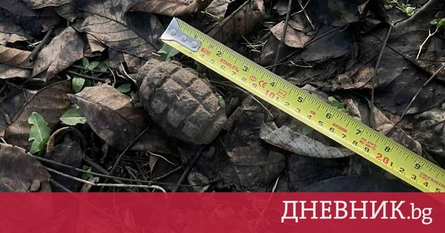 Специализиран екип от Сухопътните войски унищожи невзривена ръчна граната, открита в Плевен