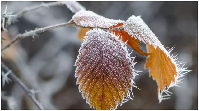 Ninsori, lapoviță și ploi în Moldova