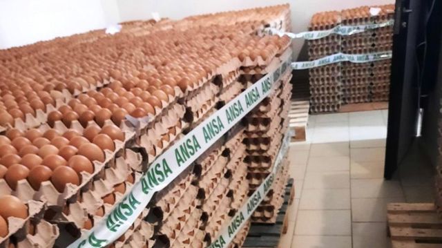 132.270 de ouă au fost retrase de pe piață și nimicite