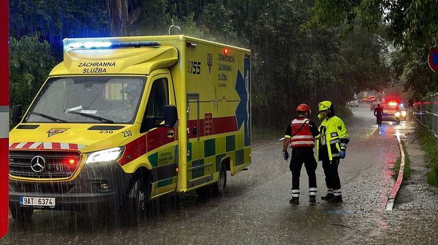 V Braníku spadl při bouřce strom na dva lidi, muže vážně zranil