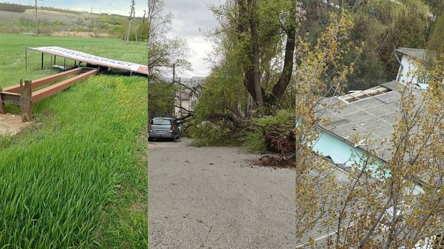 Vântul puternic face ravagii la Bălți: copaci doborâți și mașini avariate