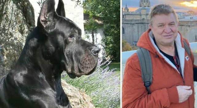 Aggredito e sbranato dai suoi cani. Come hanno trovato il veterinario