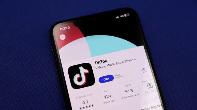 US Appeals Court Upholds TikTok Law Forcing Its Sale Ahead of Deadline