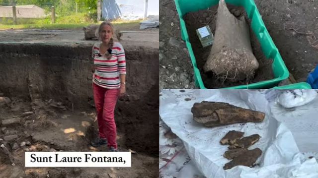 Urme ale unor colibe din oase de mamut, vechi de aproximativ 25 de mii de ani, descoperite la Șoldănești