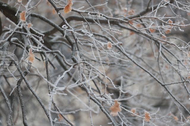 Жълт код за ниски температури е обявен за 14 области