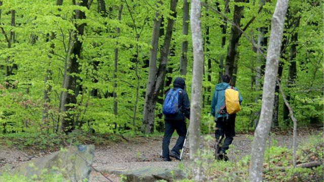 Издирват човек в района на Драгалевския манастир на Витоша