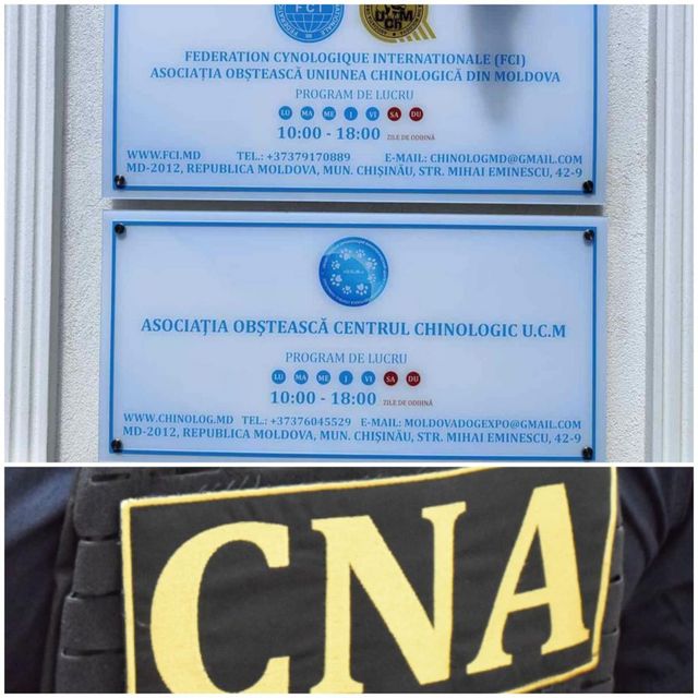 Președintele Uniunii Chinologice din Moldova, cercetat penal de CNA pentru sustragerea a circa 17 milioane de lei