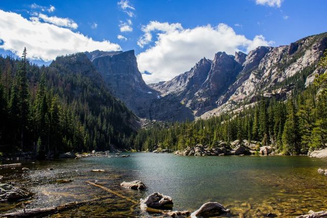 Via libera finale Ue alla legge sul ripristino della natura