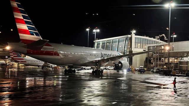 American Airlines Grounds All Its Flights In US Due To Technical Issue