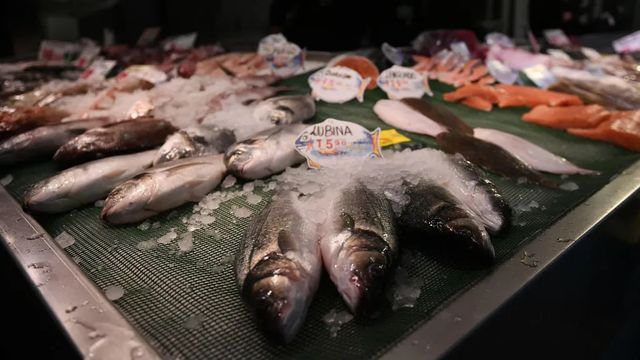 De qué habla Europa cuando pide que la pesca en el Mediterráneo sea más sostenible