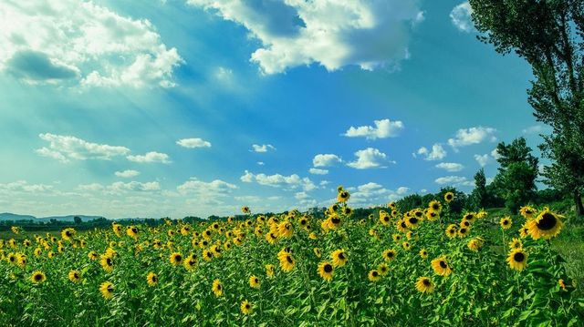 Prognoza meteo pentru 7 iulie