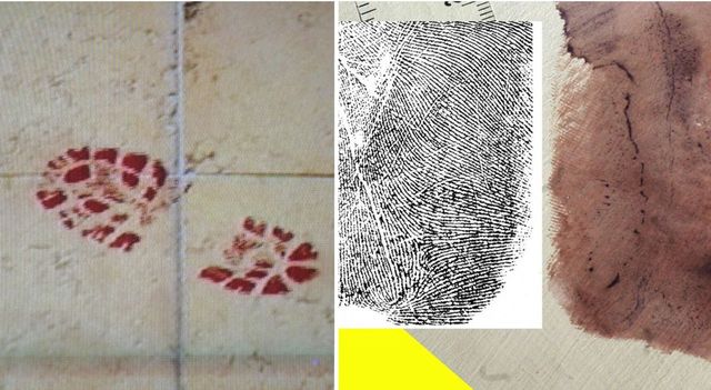 Garlasco, individuata una impronta di scarpa compatibile con la traccia 33