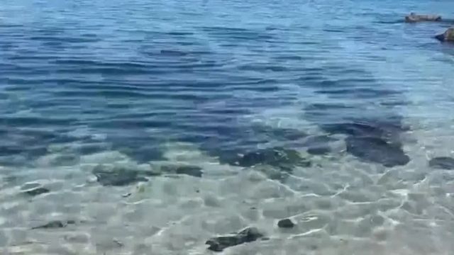 Жена се удави на Централния плаж в Бургас