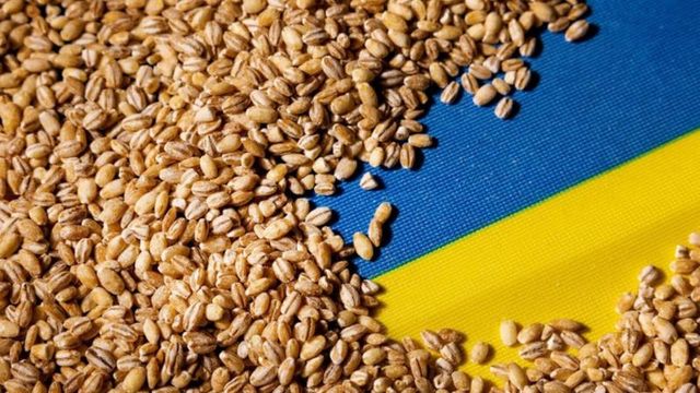 Cerealele din Ucraina, care tranzitează teritoriul Moldovei, nu vor fi supuse controalelor ANSA