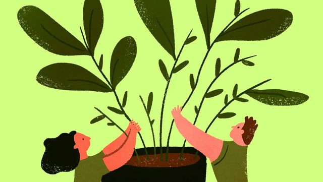 La pasión verde de los 'millennials': por qué ahora les gustan las plantas