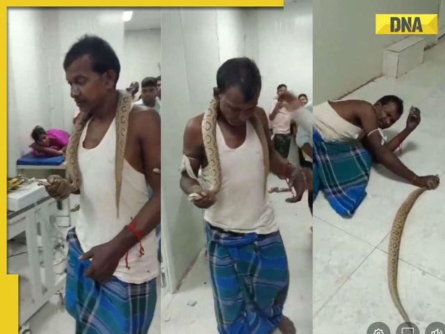 Bihar man gets bitten by snake, goes to hospital with reptile, watch viral video