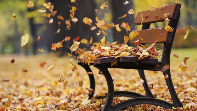 Жълт код за опасно силен вятър в части от България