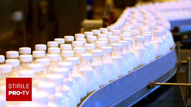 Paradoxul laptelui românesc: Producem milioane de tone, dar procesăm doar o treime
