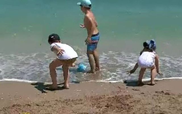 Copil de 3 ani, mușcat de câine în timp ce se afla în apă, pe plaja din Mamaia