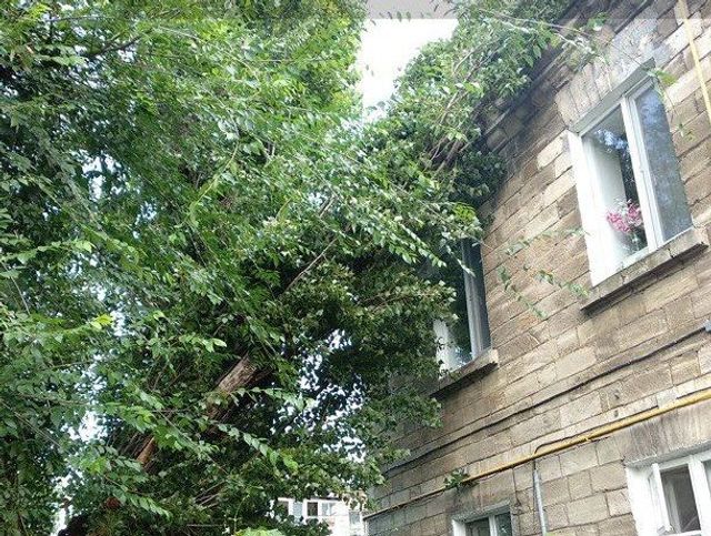 Шквалистый ветер в Кишиневе сносит окна и деревья