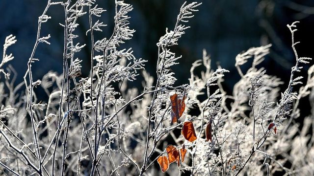 Caída brusca de las temperaturas y lluvias en toda Castilla y León, según la Aemet