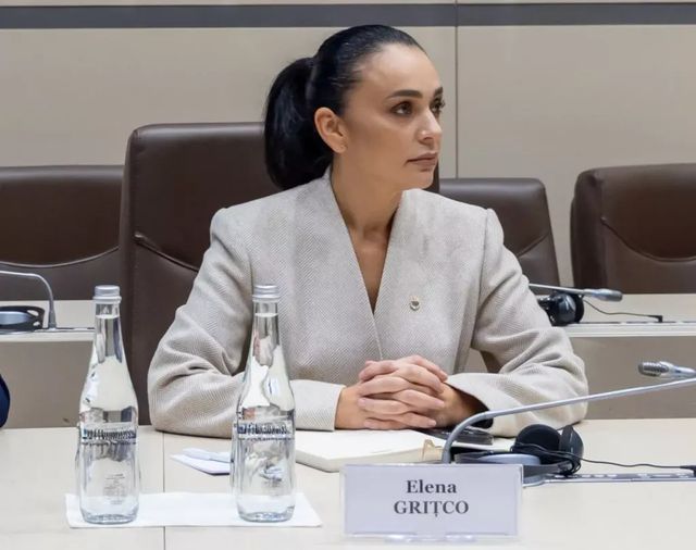 ANI a inițiat controlul averii în cazul deputatei Elena Grițco