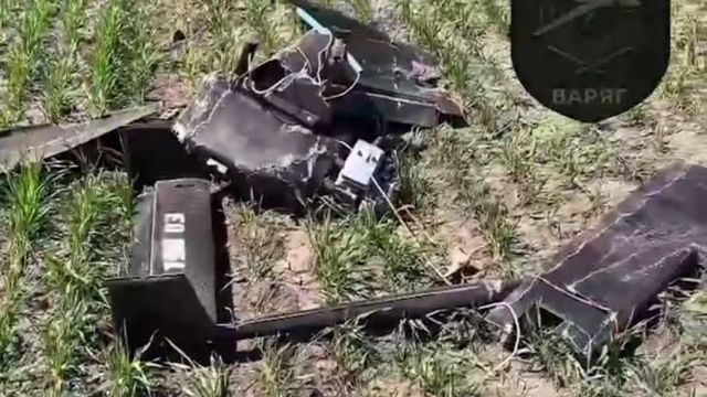 Explicațiile Ucrainei pentru incidentul cu dronă de la granița Bulgariei cu România. Ambasadoarea Kievului, convocată de Sofia
