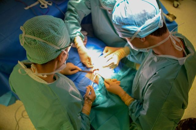 Oamenii de știință au reușit să transplanteze un plămân de porc la om