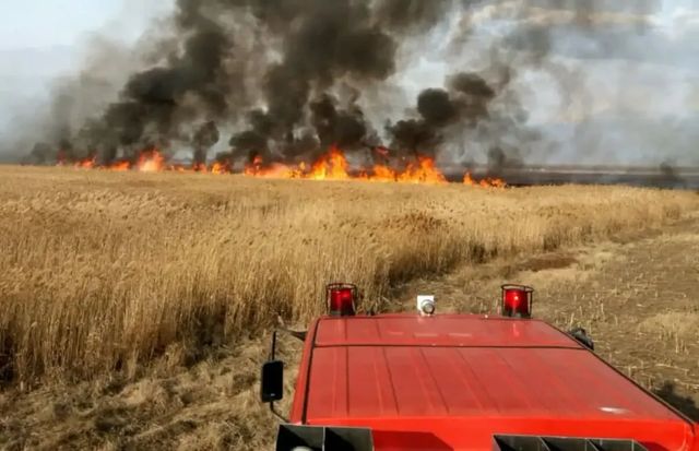 Incendiu la Telenești. Pompierii au salvat 25 de hectare de grâu